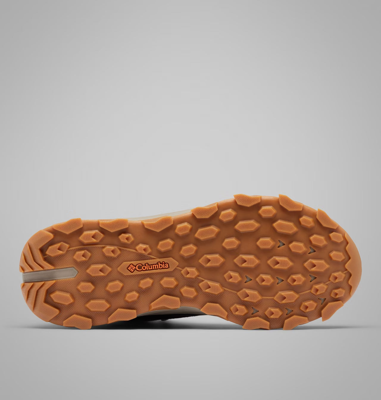 Chaussure Expeditionist Shield