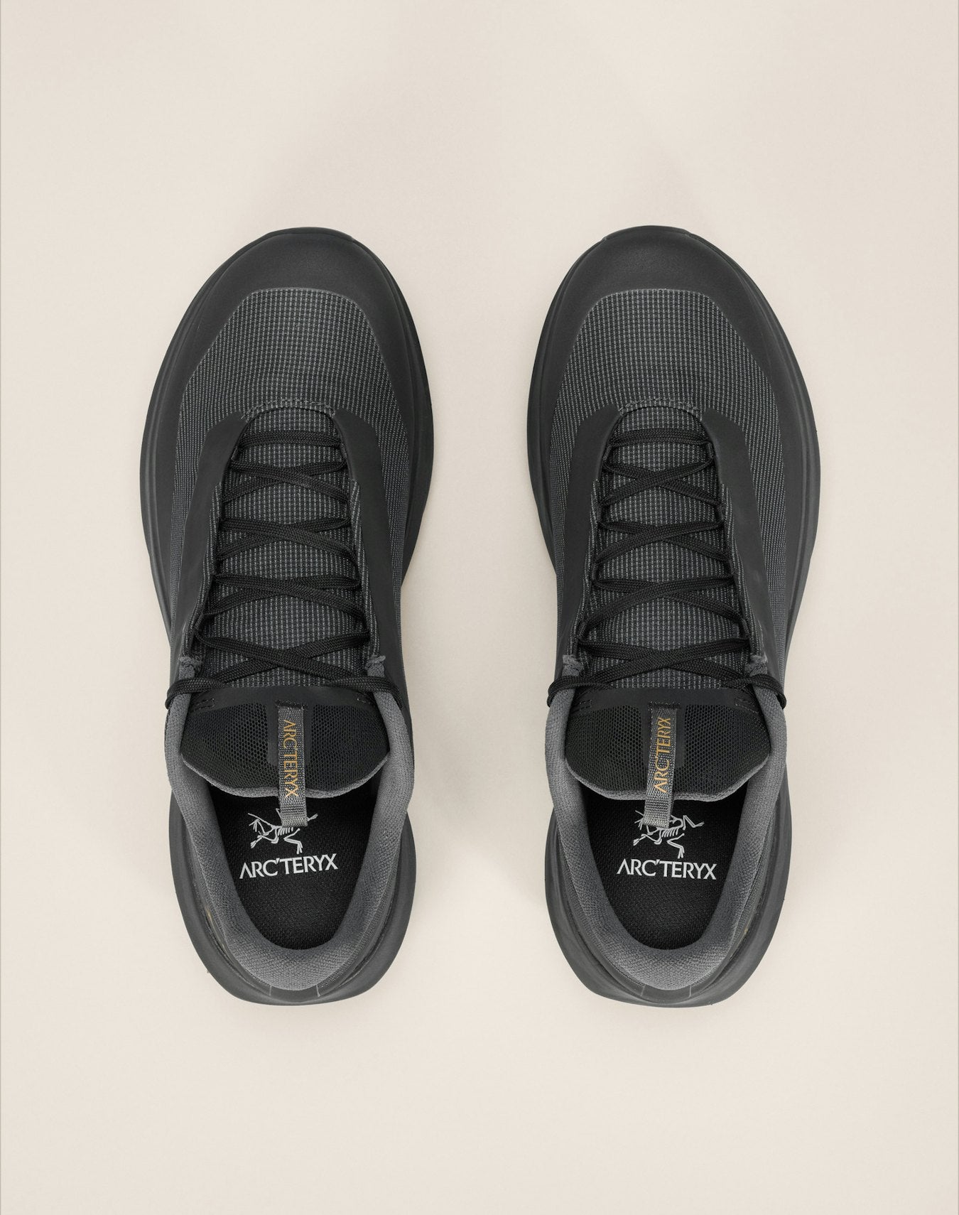 Norvan LD 4 GTX Shoe