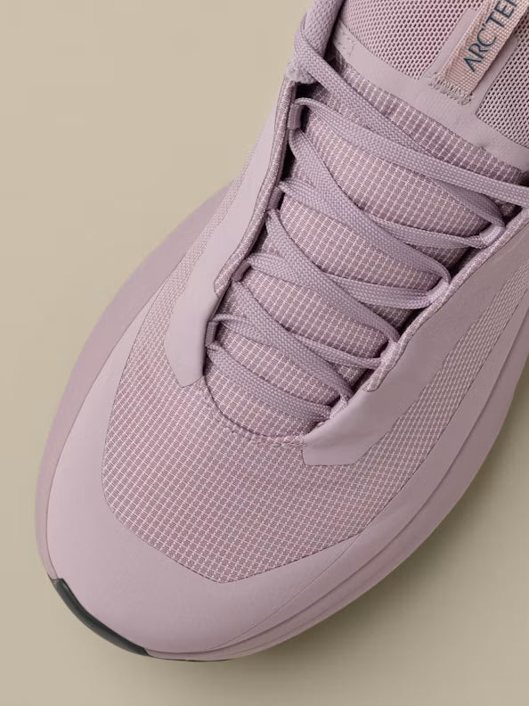 Chaussure Norvan LD 4 GTX