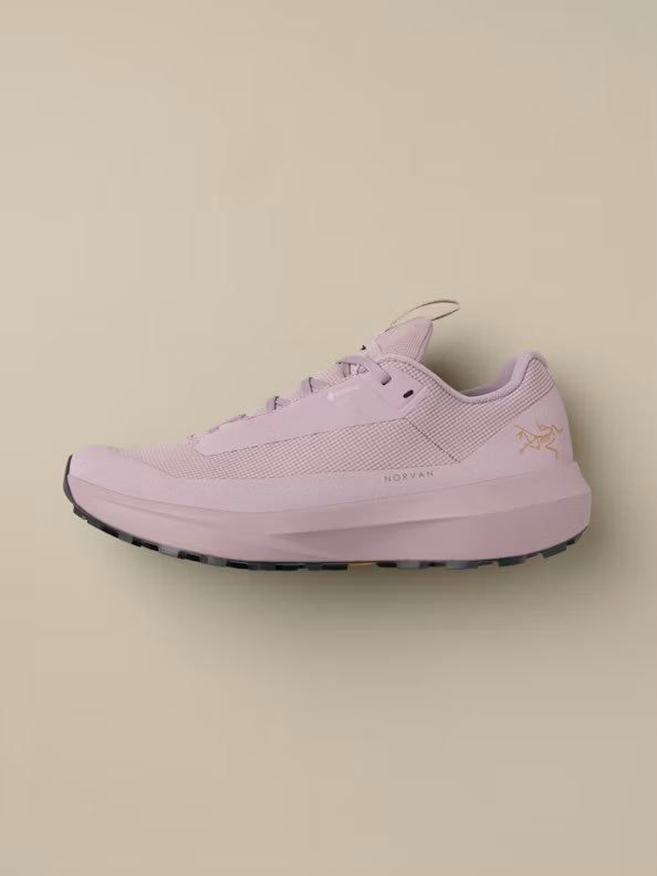 Chaussure Norvan LD 4 GTX