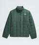 DUCK GREEN