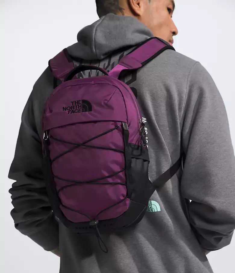 Mini sac à dos Borealis - BLACK CURRANT PURPLE / TNF BLACK