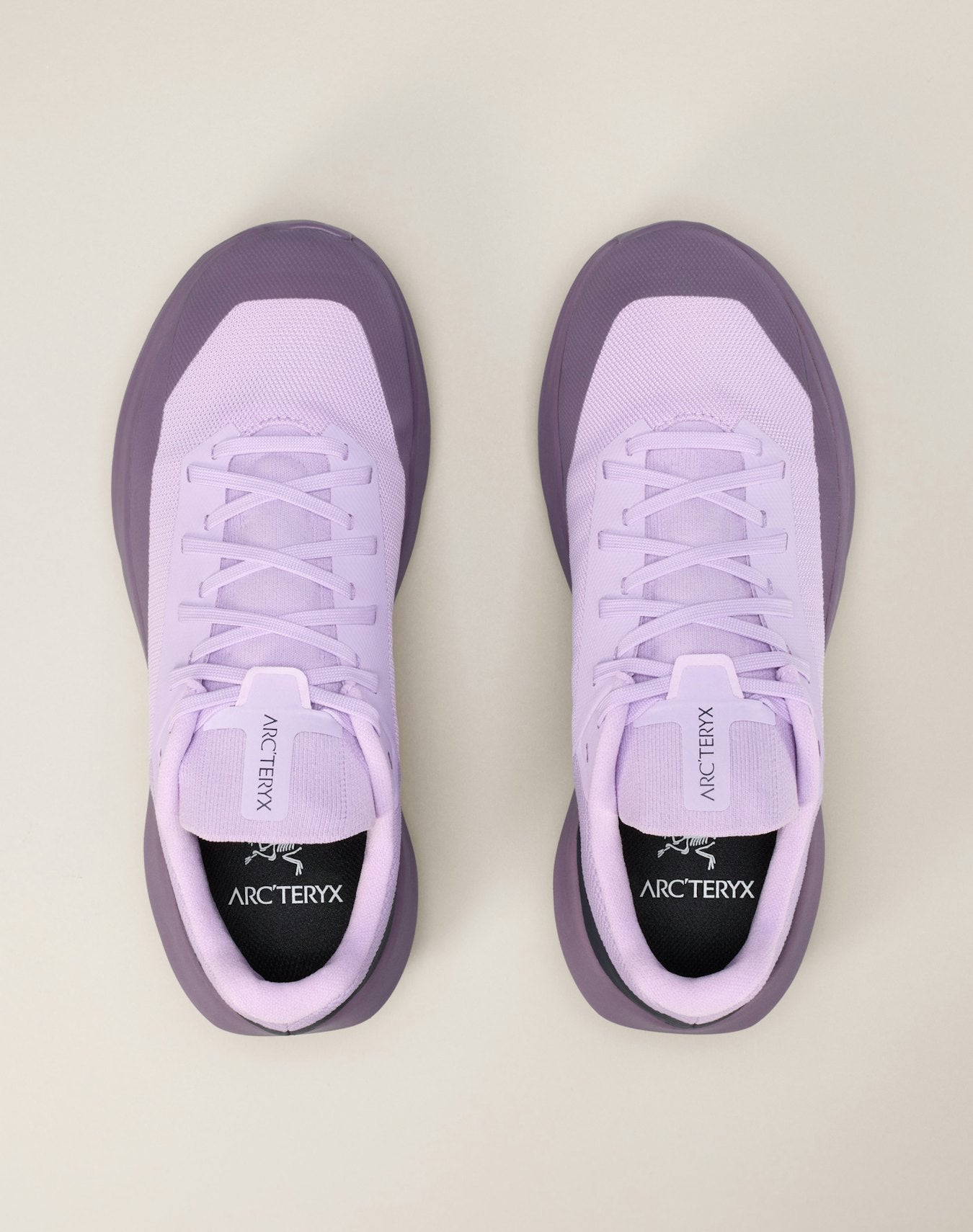 Chaussure Norvan LD 4 GTX