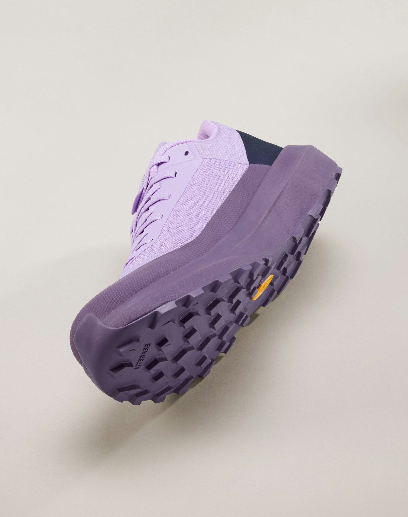 Chaussure Norvan LD 4 GTX