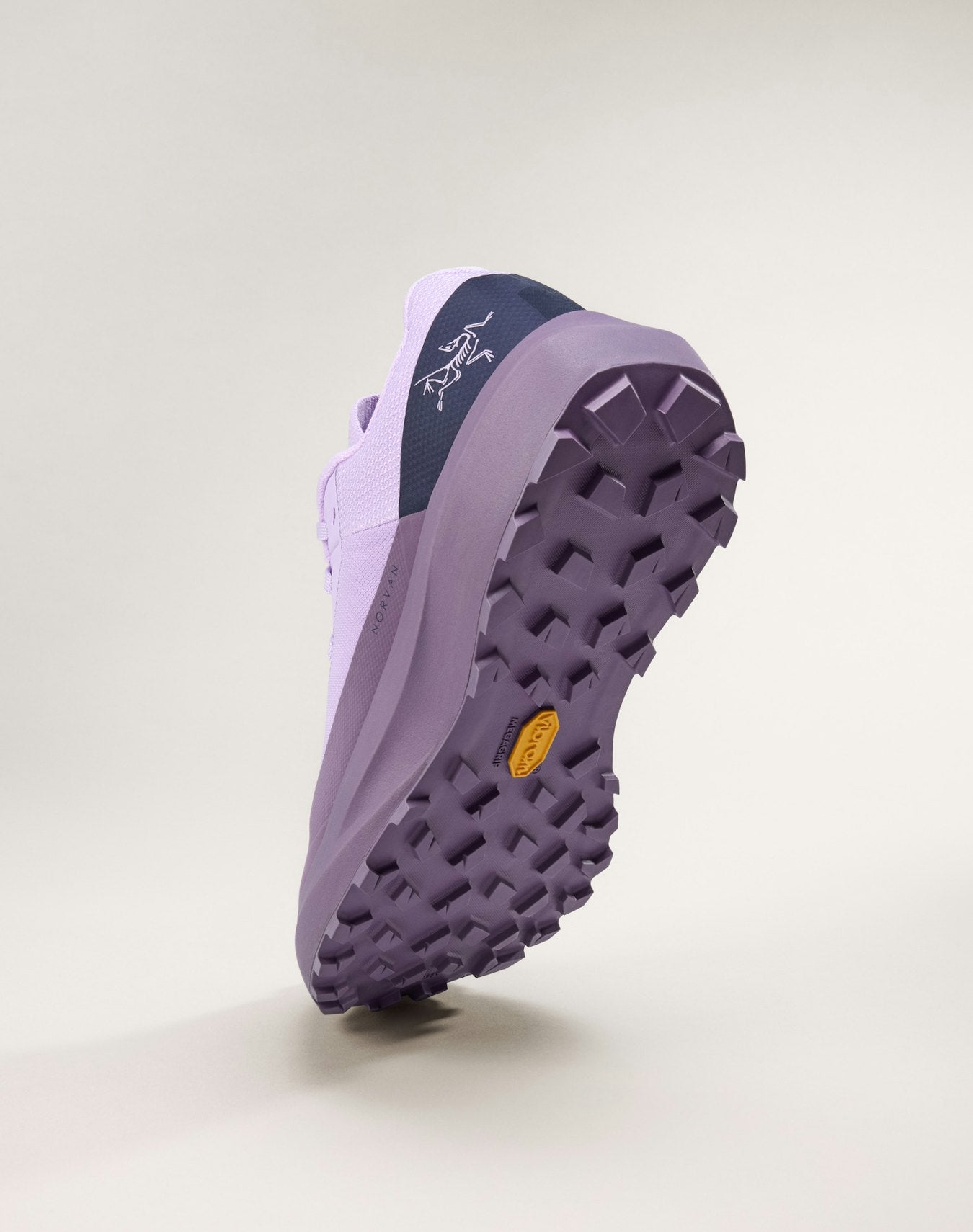 Chaussure Norvan LD 4 GTX