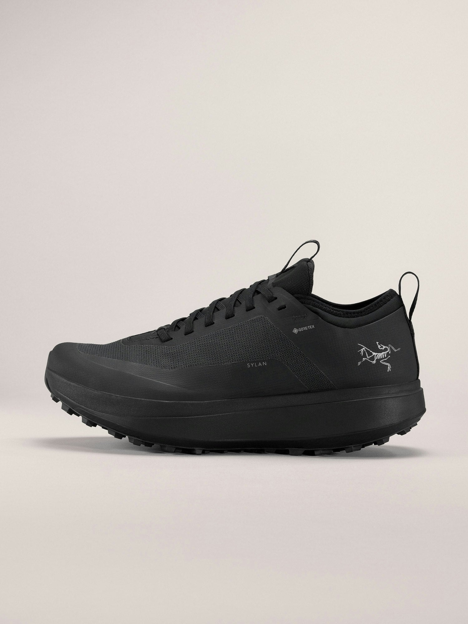 Chaussure Sylan GTX Homme