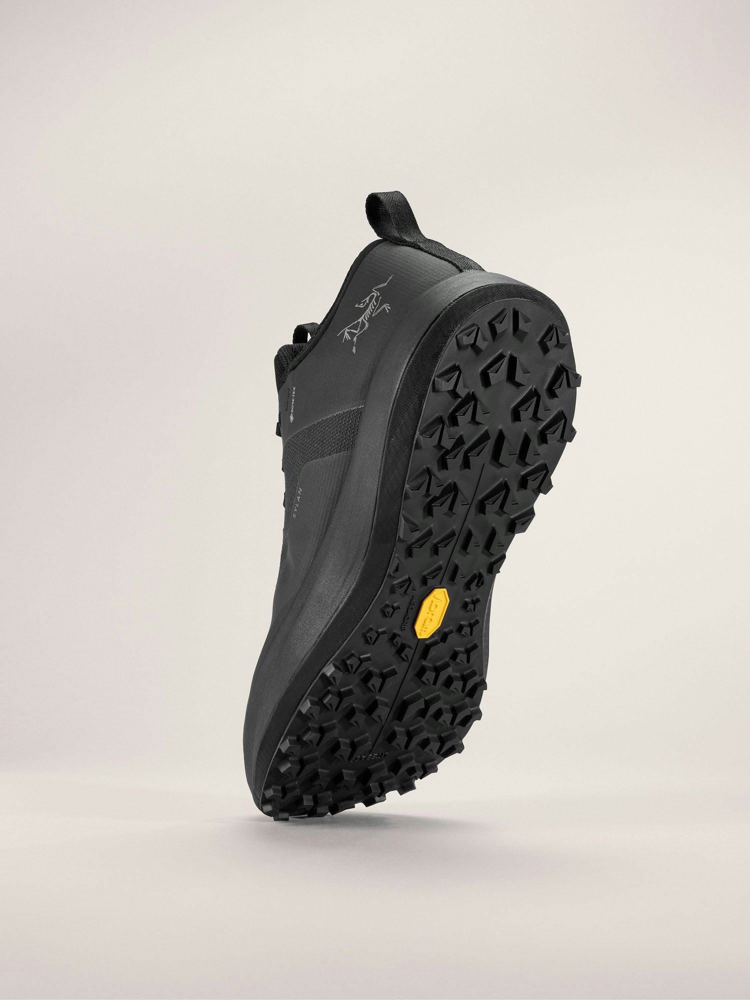 Chaussure Sylan GTX Homme