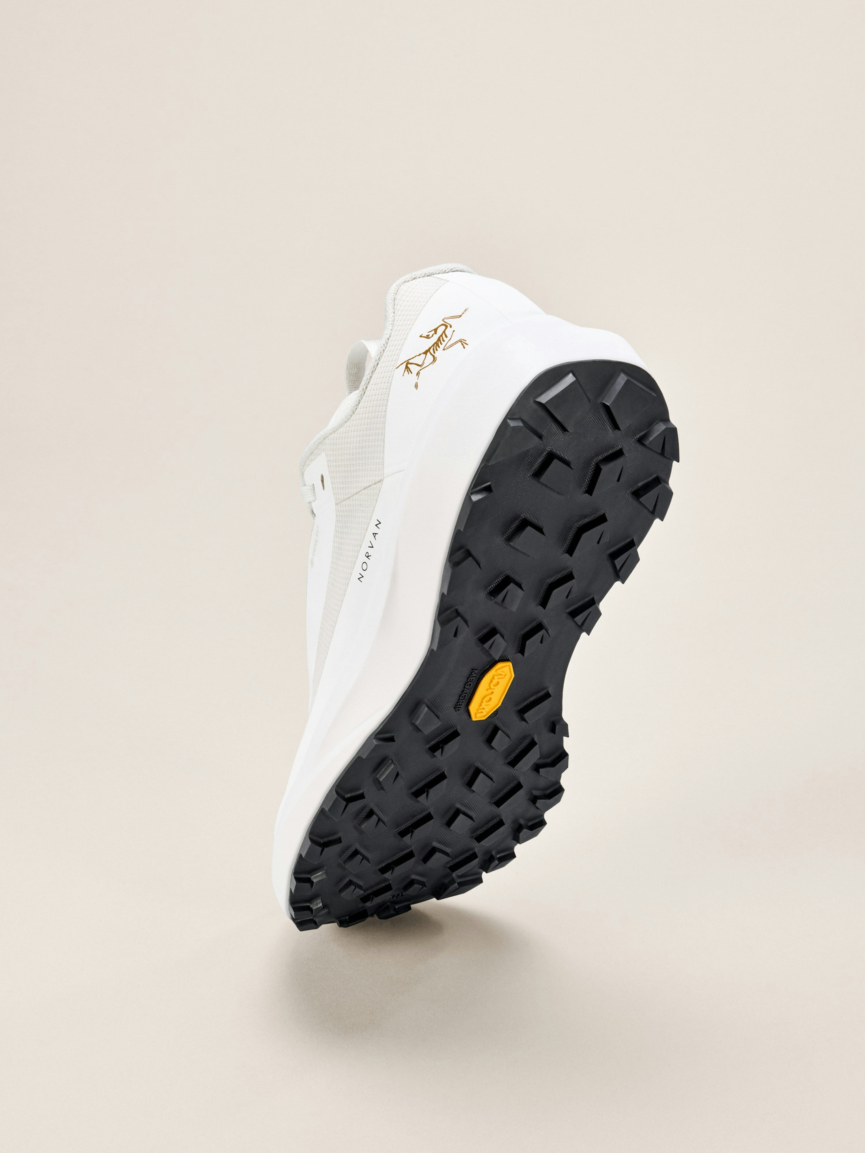 Norvan LD 4 GTX Shoe Women's