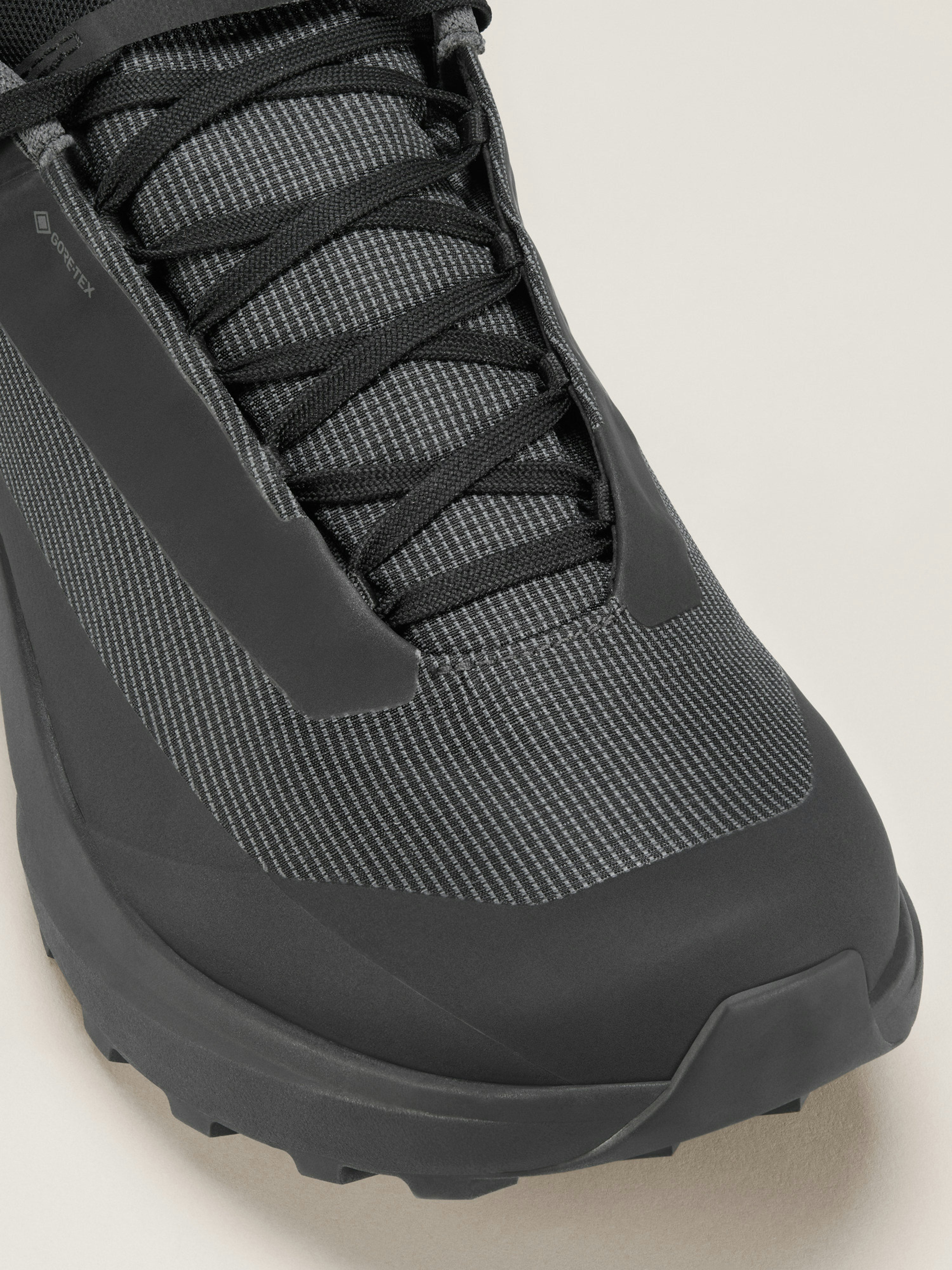 Norvan LD 4 GTX Shoe Women's