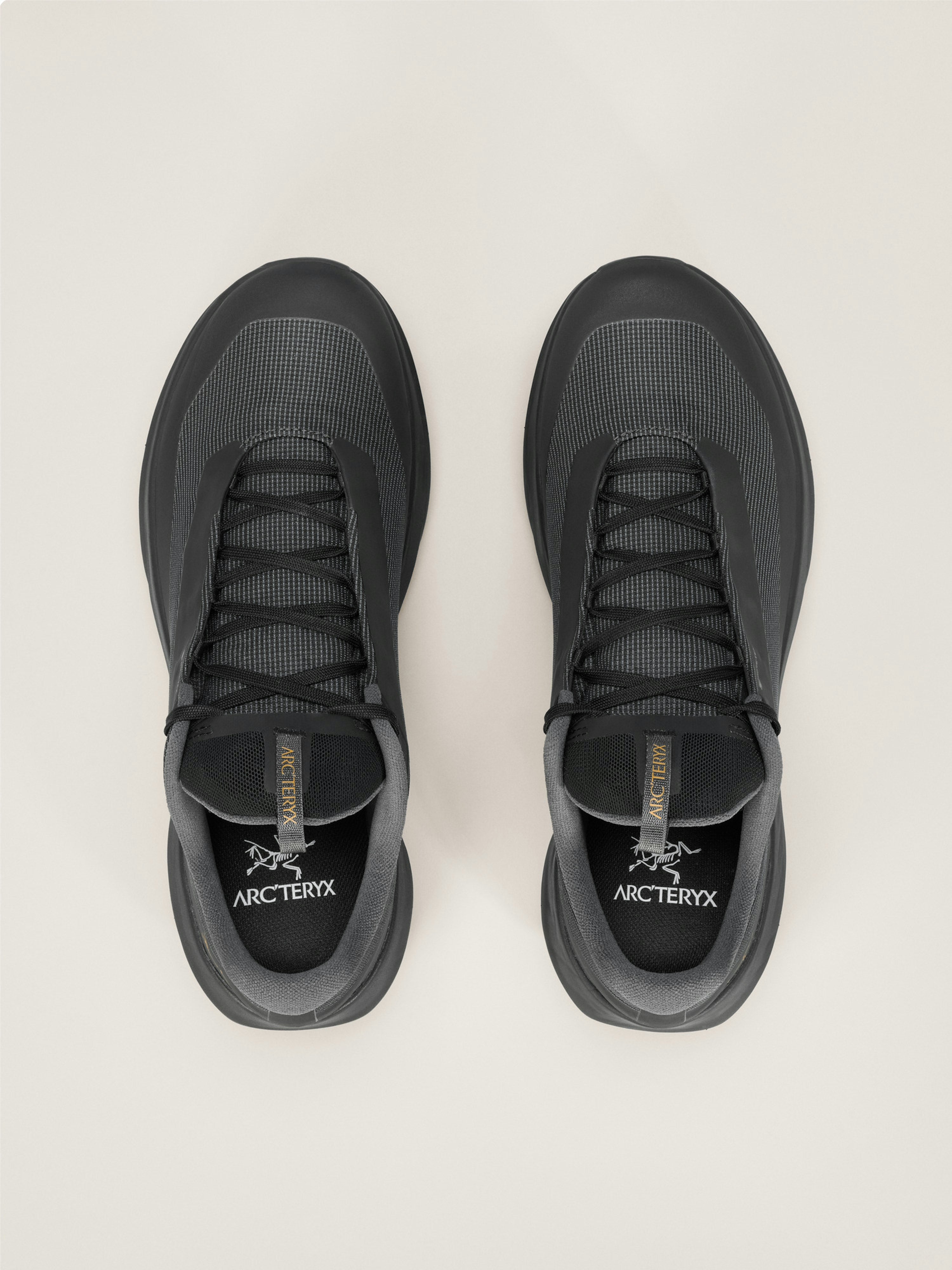 Norvan LD 4 GTX Shoe Women's