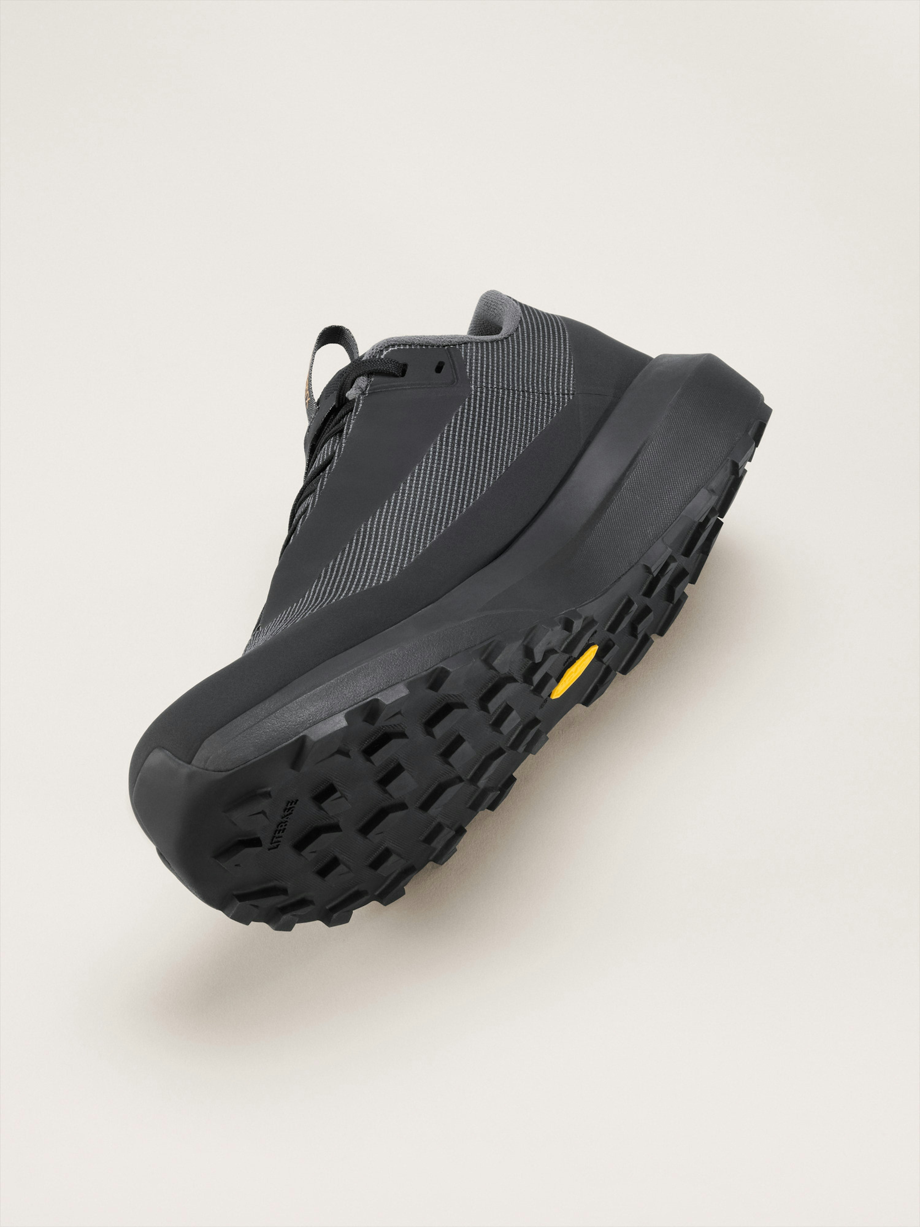 Norvan LD 4 GTX Shoe Women's